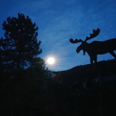 Alpine Moose Lodge Lake City ภายนอก รูปภาพ