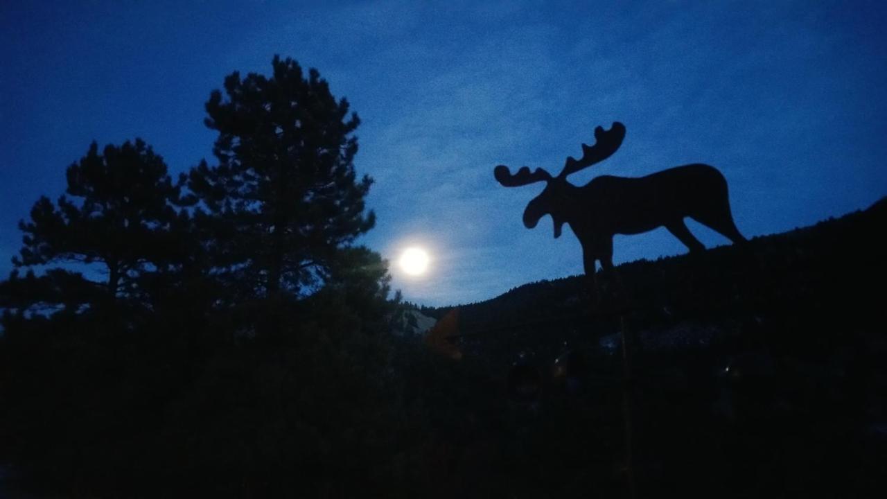 Alpine Moose Lodge Lake City ภายนอก รูปภาพ